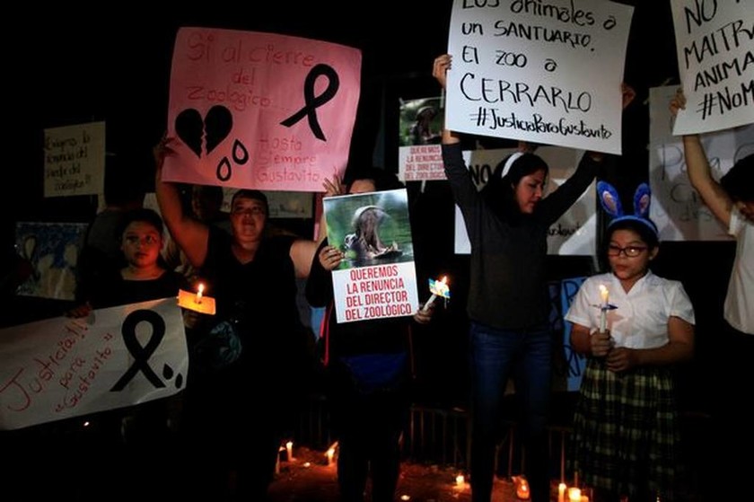 Σάλος για την άγρια δολοφονία ενός ιπποπόταμου σε ζωολογικό κήπο στο Ελ Σαλβαδόρ (Pics)
