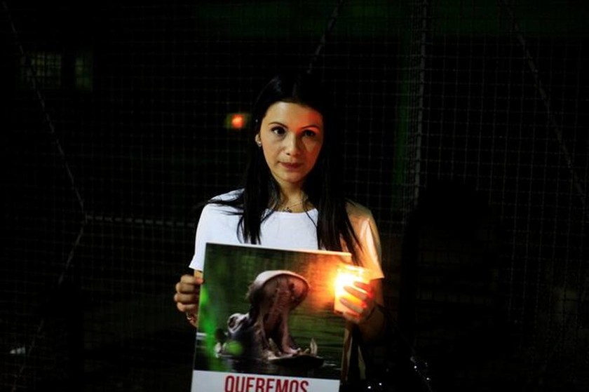 Σάλος για την άγρια δολοφονία ενός ιπποπόταμου σε ζωολογικό κήπο στο Ελ Σαλβαδόρ (Pics)