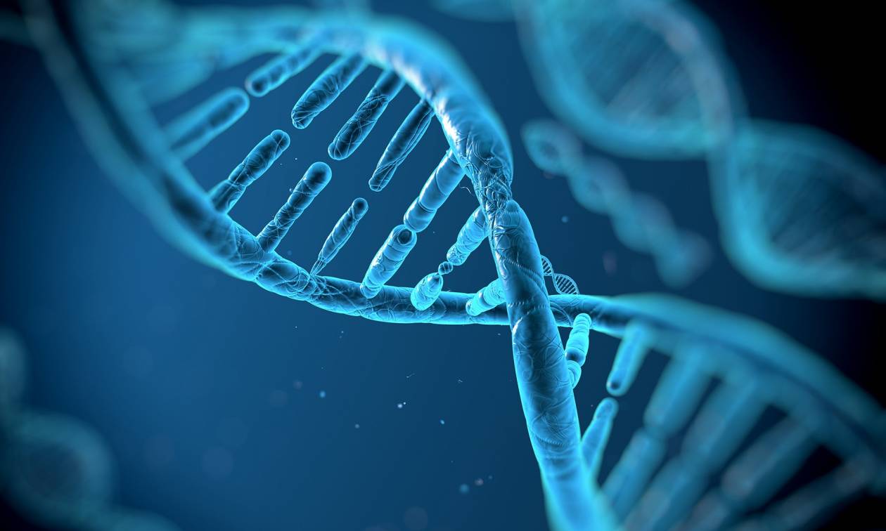Η επόμενη πρόκληση: Βιολόγοι έτοιμοι να «διαβάσουν» το DNA όλης της ζωής πάνω στη Γη