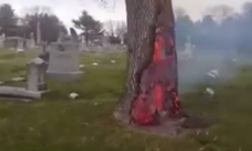Τρόμος στο νεκροταφείο: Είναι αυτό το δέντρο η πύλη για την κόλαση;