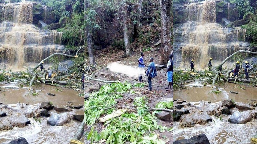Φριχτό δυστύχημα στη Γκάνα: 20 άνθρωποι σκοτώθηκαν από την πτώση δέντρου (Pics+Vid)