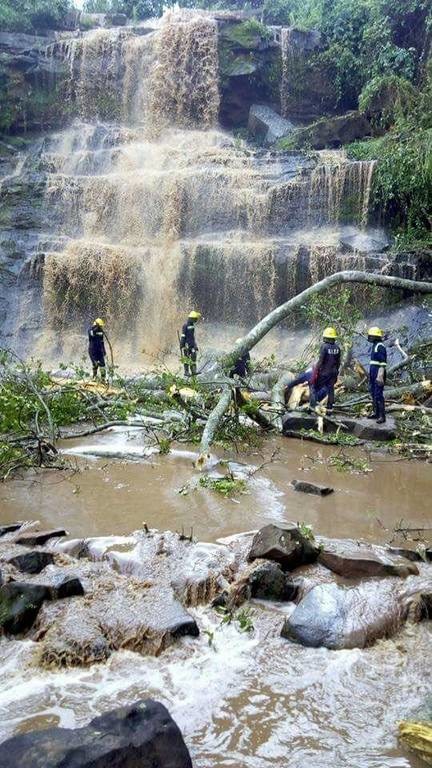 Φριχτό δυστύχημα στη Γκάνα: 20 άνθρωποι σκοτώθηκαν από την πτώση δέντρου (Pics+Vid)