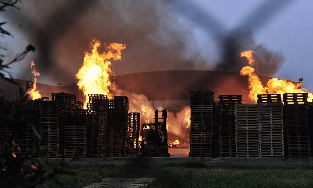 Οινόφυτα: Υπό έλεγχο η πυρκαγιά στον προαύλιο χώρο εργοστασίου