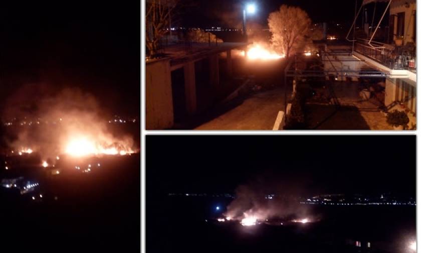 Συναγερμός στα Ιωάννινα: Πυρκαγιά στους καλαμιώνες της Αμφιθέας - Πλησιάζει τον οικισμό
