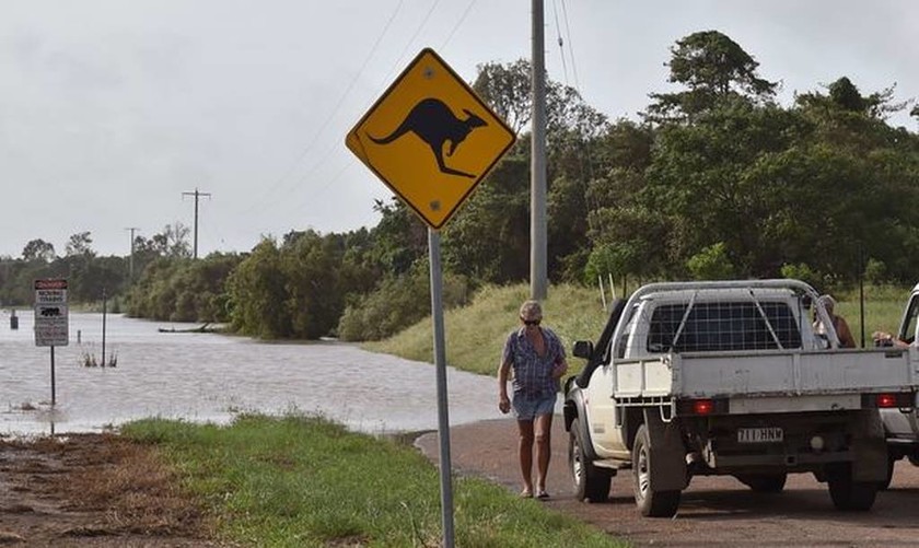 Τρόμος στην Αυστραλία: Ο τυφώνας Ντέμπι έβγαλε στη στεριά... καρχαρία! (pics+vid)