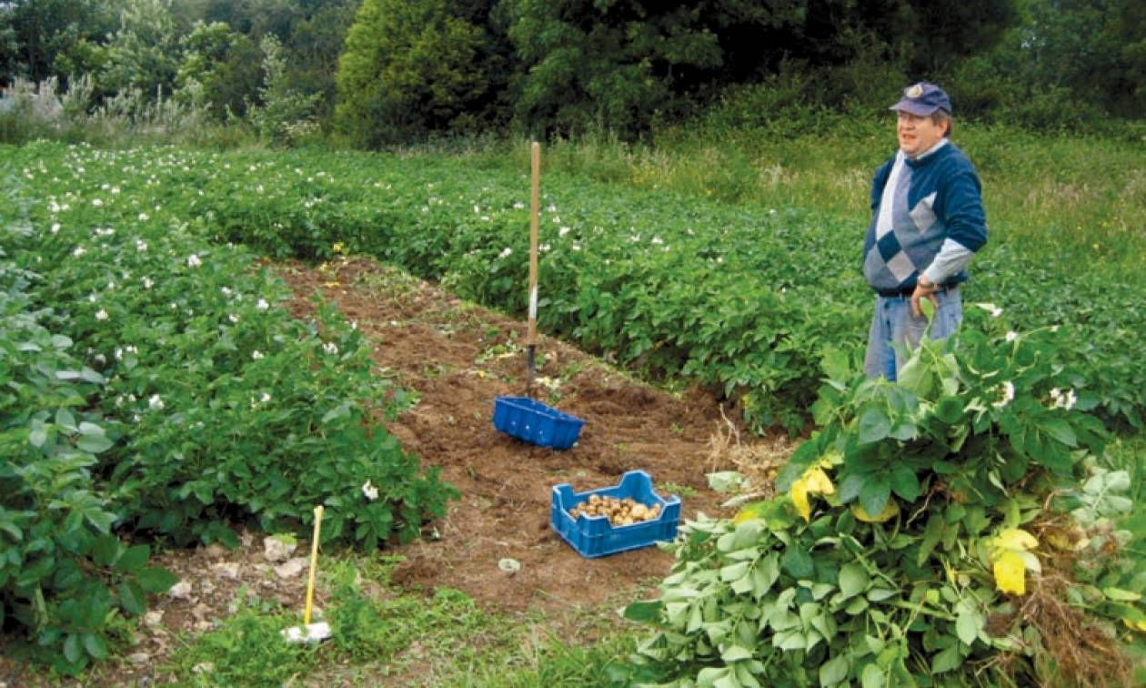 Δωρεάν μαθήματα βιολογικής γεωργίας σε ανέργους
