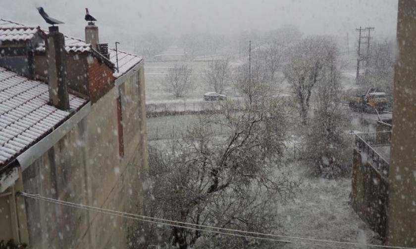 Καιρός: Χιονίζει στο Καρπενήσι! Δείτε το βίντεο που ανέβασε ο Κώστας Μπακογιάννης