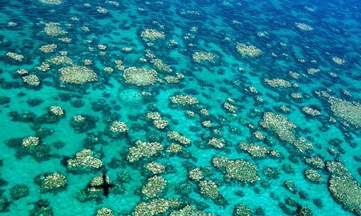 Πεθαίνει ο Μεγάλος Κοραλλιογενής Ύφαλος της Αυστραλίας