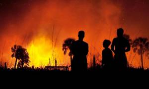 «Κόλαση» στη Φλόριντα: Περισσότερες από 100 πυρκαγιές έχουν κάψει 80.000 στρέμματα