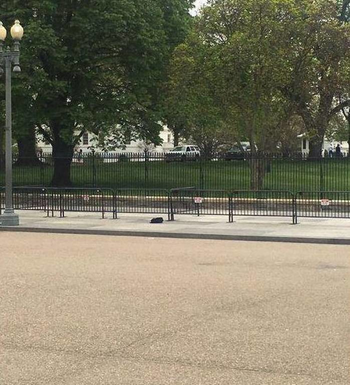 Συναγερμός στις ΗΠΑ από ύποπτο αντικείμενο έξω από τον Λευκό Οίκο (pics)
