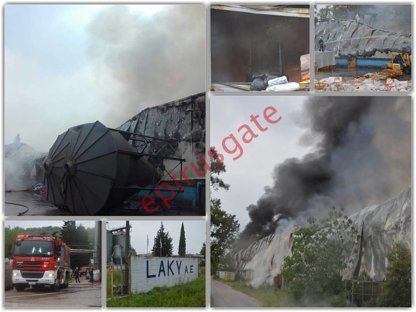 Συναγερμός στην Πρέβεζα: Μεγάλη φωτιά σε εξέλιξη (pics)