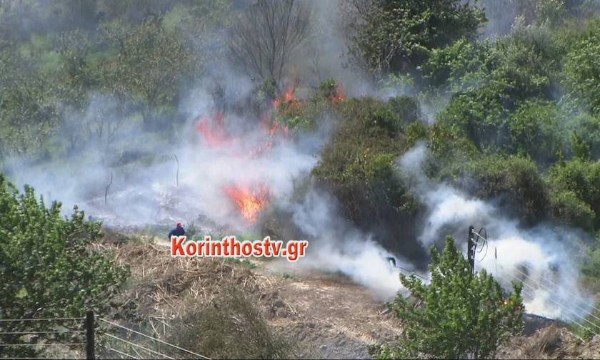 Μεγάλη φωτιά σε χαράδρα στην Κόρινθο (pics&vid)