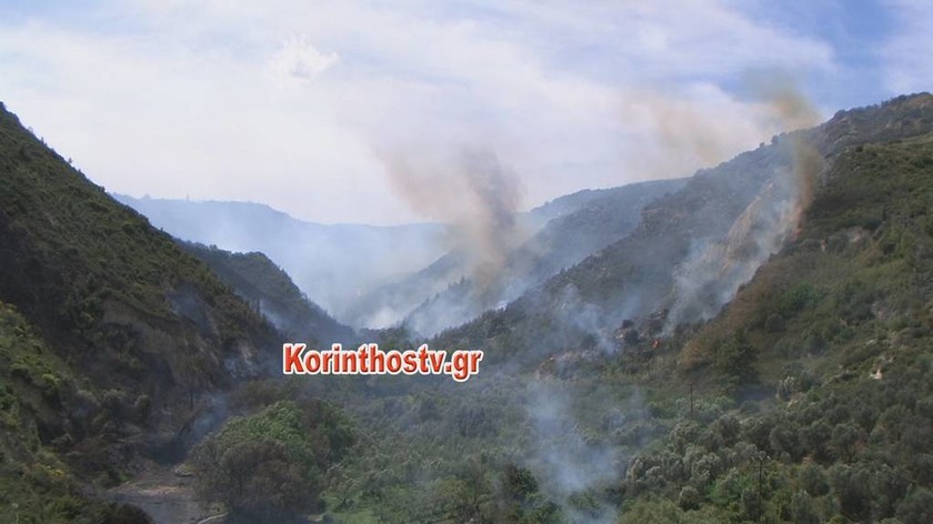 ΤΩΡΑ: Μεγάλη φωτιά σε χαράδρα στην Κόρινθο (pics&vid)