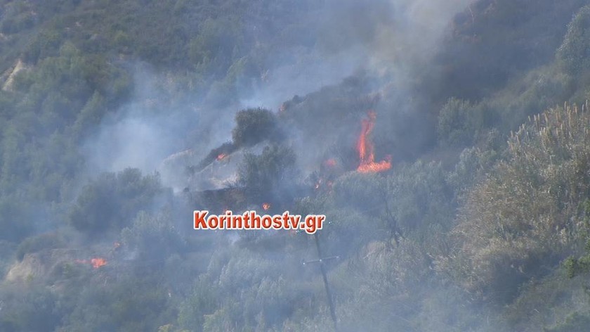 ΤΩΡΑ: Μεγάλη φωτιά σε χαράδρα στην Κόρινθο (pics&vid)