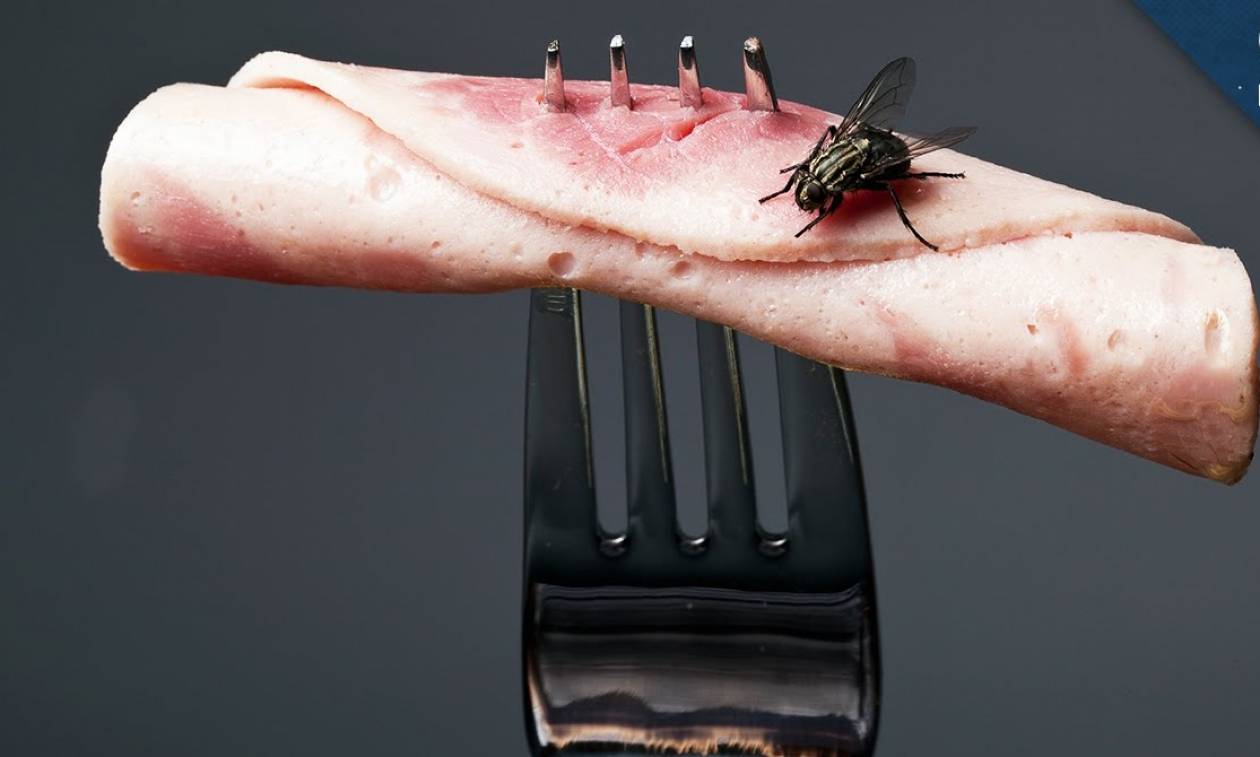 Προσοχή: Δεν φαντάζεστε τι συμβαίνει όταν μία μύγα κάθεται στο φαγητό σας!