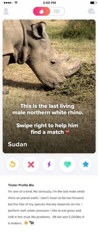 Ρινόκερος ψάχνει το άλλο του μισό… στο Tinder!