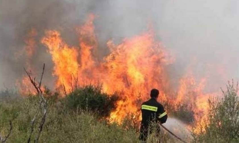 Κρήτη: Ενισχύεται με δύο πυροσβεστικά ελικόπτερα εν όψει της νέας αντιπυρικής περιόδου