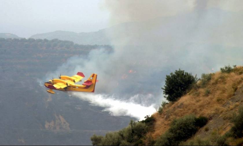 Χανιά: Πυρκαγιά σε δασική περιοχή στον Πλατανιά