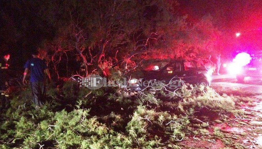 Χανιά: Σώθηκαν από θαύμα! Δέντρο καταπλάκωσε αυτοκίνητο στην εθνική οδό (pics)