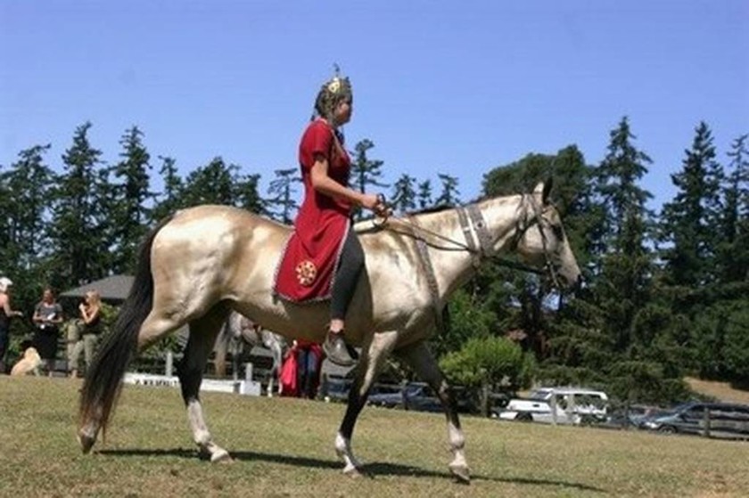 Εντυπωσιακό: Η σπάνια ράτσα αλόγου με το χρυσό χρώμα (pics)