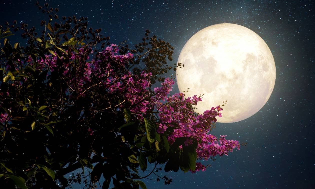 Πανσέληνος Μαΐου: Πότε θα τη δούμε - Γιατί ονομάζεται Φεγγάρι του λουλουδιού