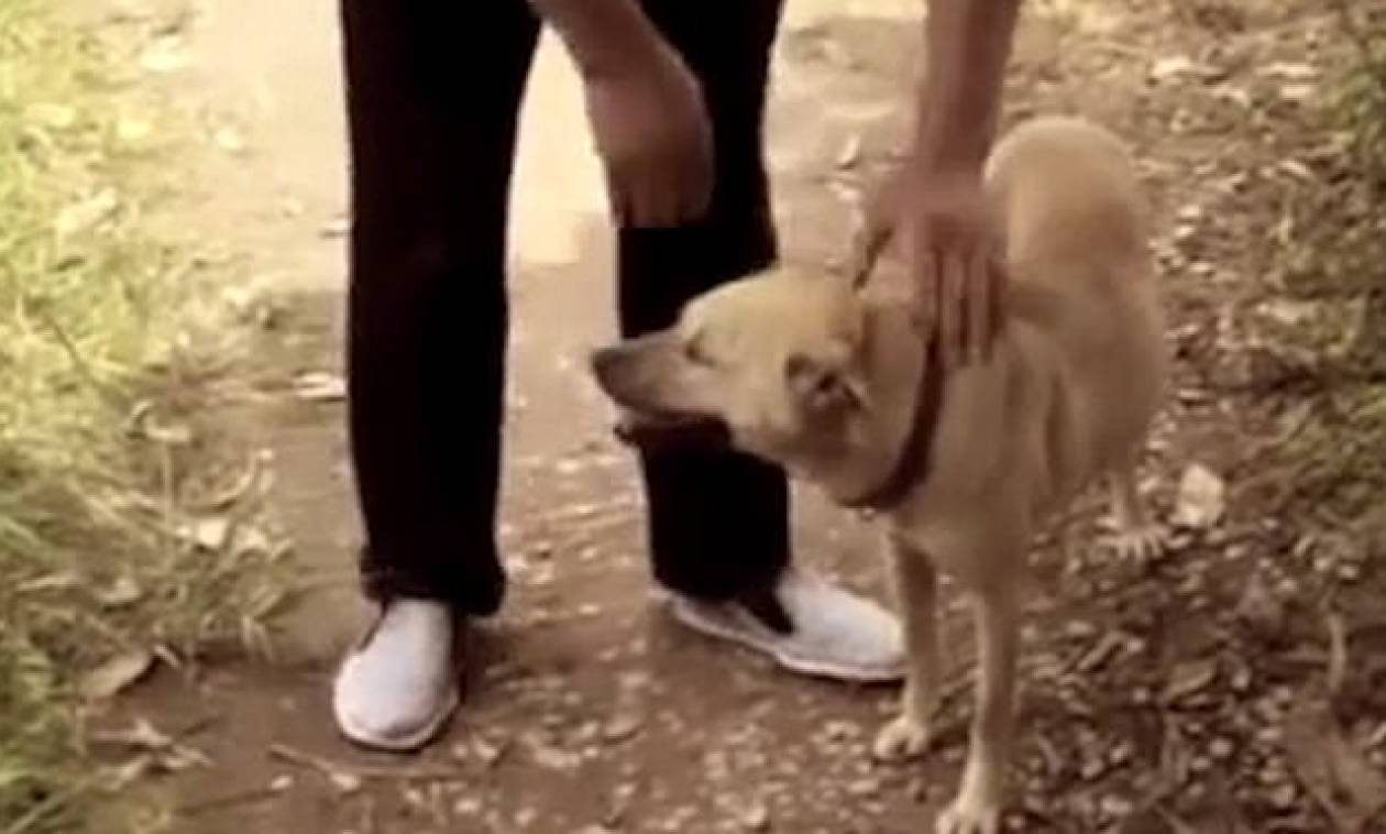 Συγκινητικό: Σκύλος έσωσε βρέφος το οποίο είχαν θάψει ζωντανό! (vid)