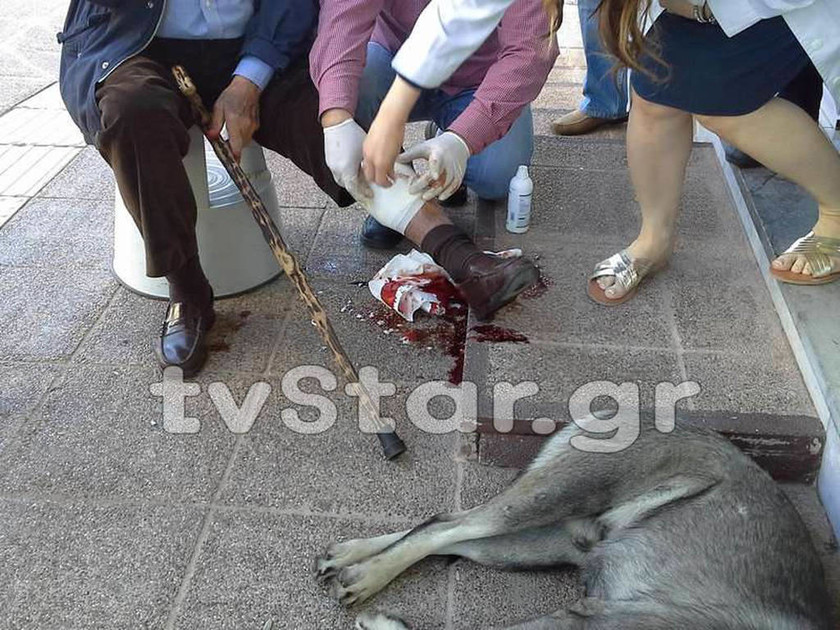 ΣΟΚ στην Θήβα από άγρια επίθεση σκύλου σε ηλικιωμένο (pics&vid)