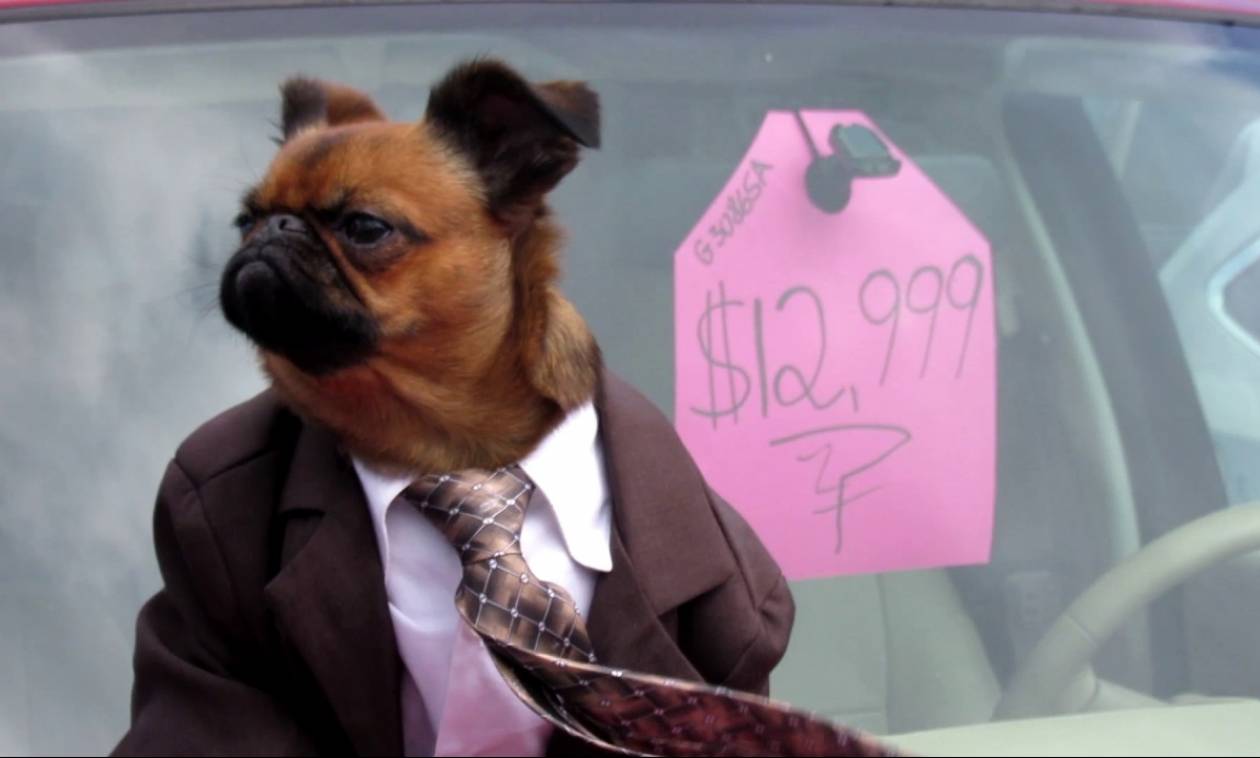 Viral: Έβαλε το σκύλο του να πουλήσει το αυτοκίνητο του και τώρα όλοι θέλουν να το αγοράσουν (Vid)