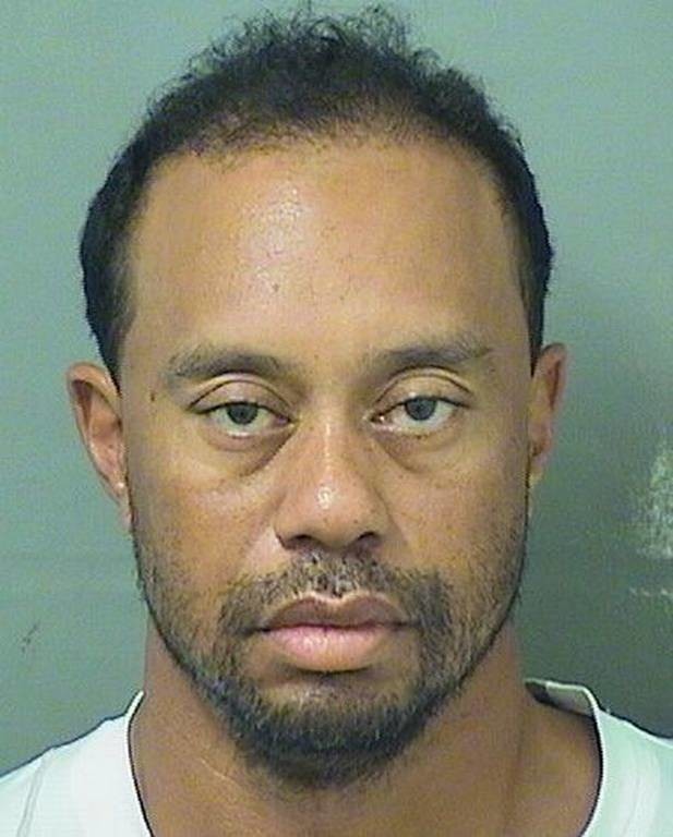 ΗΠΑ: Συνελήφθη ο Tiger Woods! (pic)