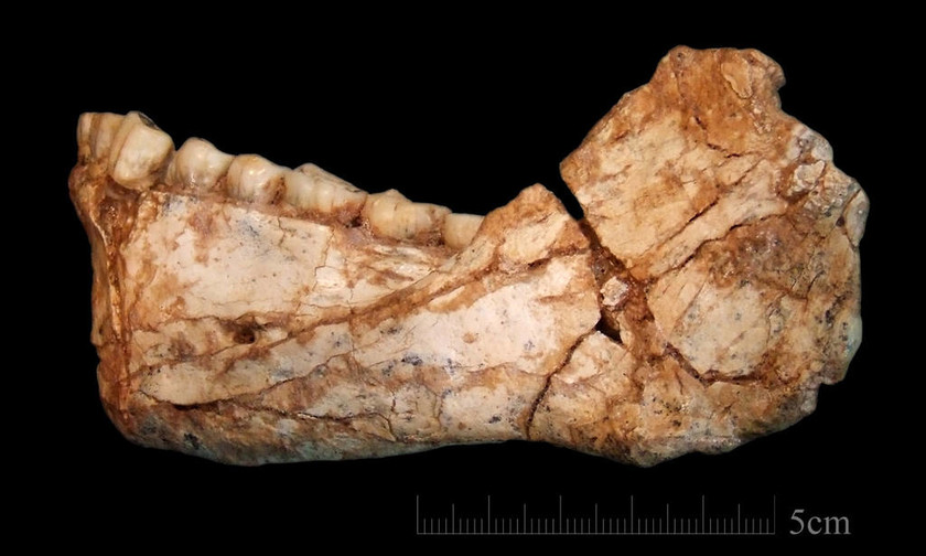 Ανακαλύφθηκαν τα παλαιότερα μέχρι σήμερα απολιθώματα του Homo Sapiens