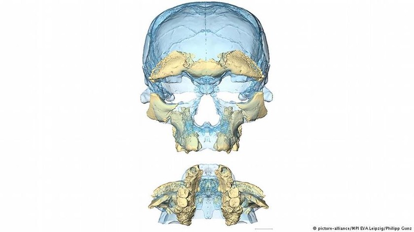 Ανακαλύφθηκαν τα παλαιότερα μέχρι σήμερα απολιθώματα του Homo Sapiens