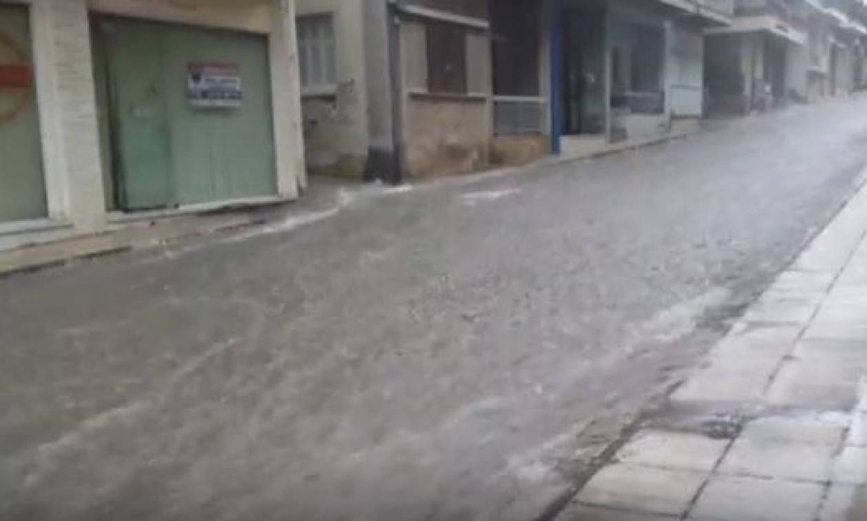 Καιρός: Άνοιξαν οι ουρανοί στη Λαμία - Πλημμύρισαν σπίτια και καταστήματα (pics+vids)