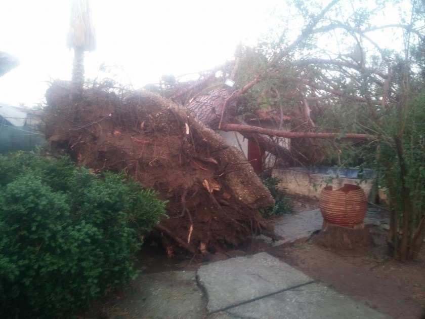 Αργολίδα: Εικόνες καταστροφής από την καταιγίδα (pics)
