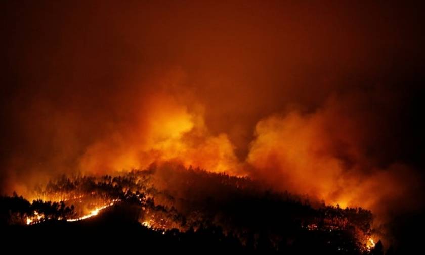 Φονική πυρκαγιά στην Πορτογαλία: Τουλάχιστον 57 οι νεκροί (pics+vids)