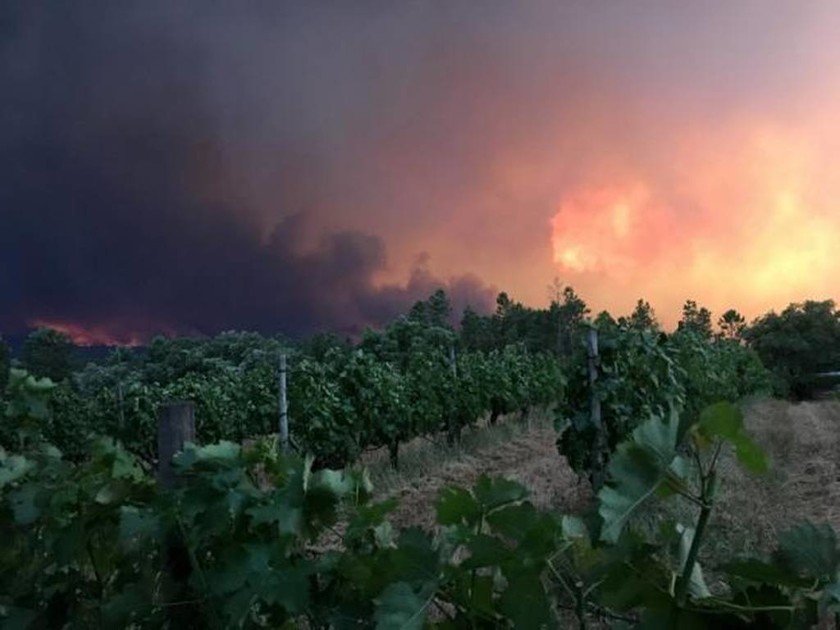 Φονική πυρκαγιά στην Πορτογαλία: Τουλάχιστον 24 οι νεκροί (pics+vids)