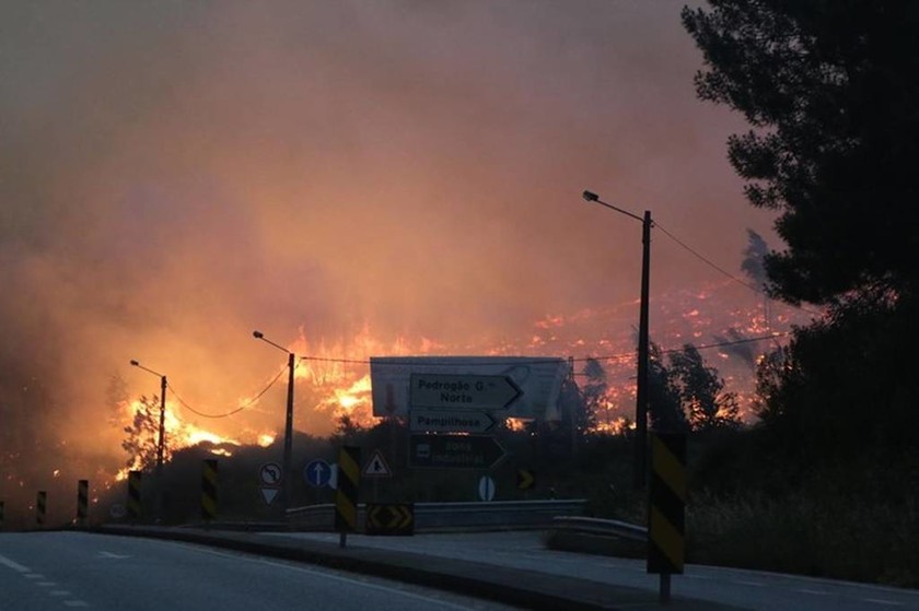 Φονική πυρκαγιά στην Πορτογαλία: Δεκάδες άνθρωποι κάηκαν ζωντανοί μέσα στα αυτοκίνητα τους (Pics)