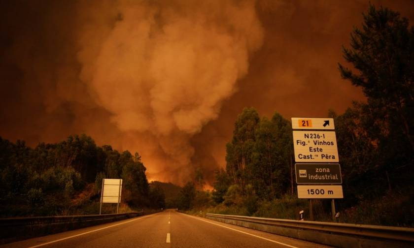 Θρήνος στην Πορτογαλία: Αυξάνεται ραγδαία ο αριθμός των νεκρών από τη δασική πυρκαγιά (Vid)