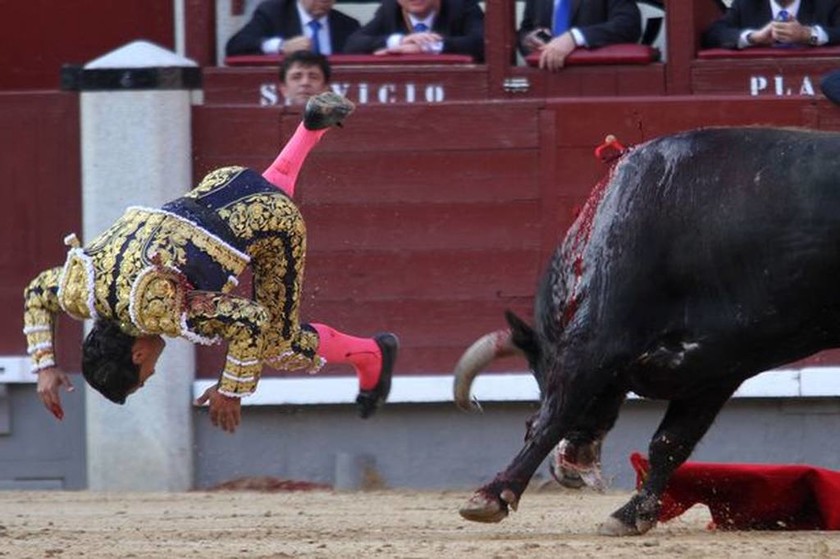 Φρικτός θάνατος ταυρομάχου: Έχασε την ισορροπία του και δέχθηκε τα χτυπήματα του ταύρου (pics+vid)
