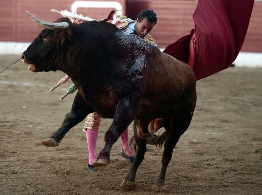 Φρικτός θάνατος ταυρομάχου: Έχασε την ισορροπία του και δέχθηκε τα χτυπήματα του ταύρου (pics+vid)
