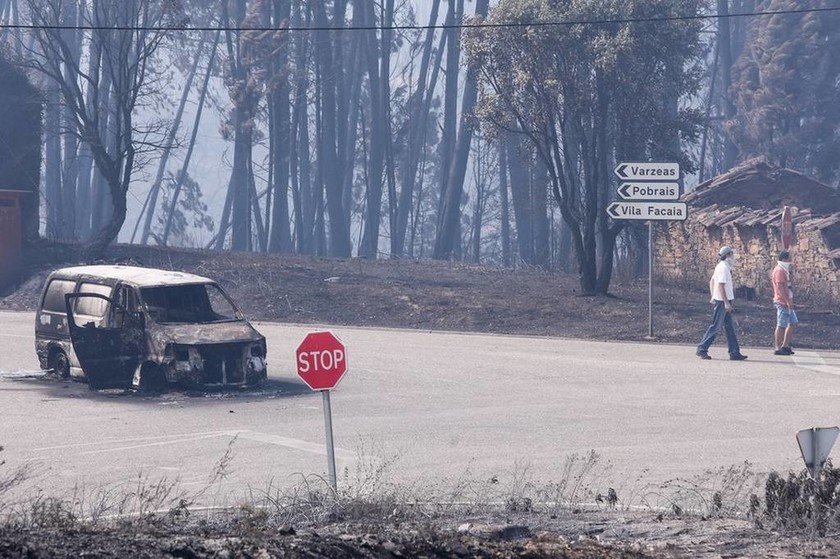 Εθνική τραγωδία στην Πορτογαλία: Απανθρακώθηκαν τουλάχιστον 57 άνθρωποι σε πυρκαγιά (pics+vids) 
