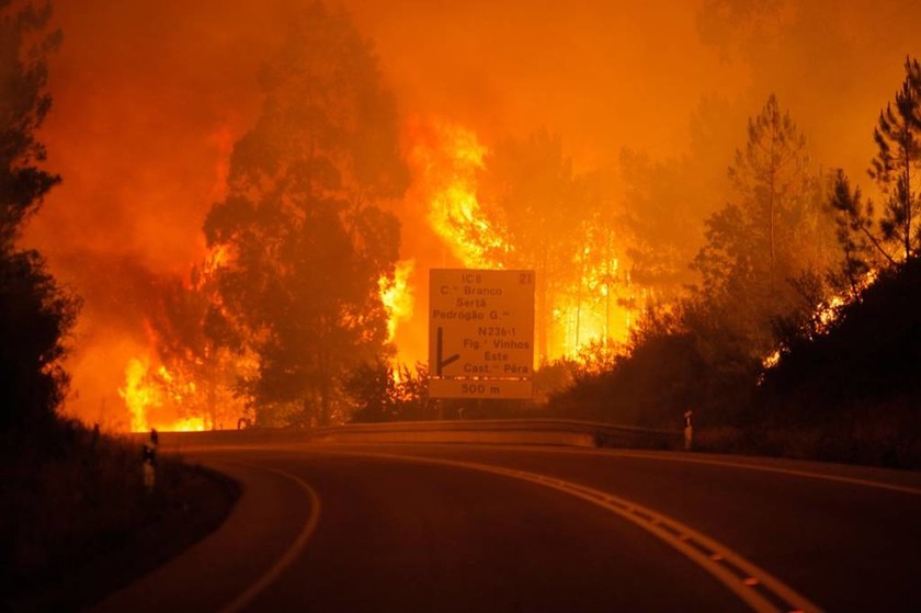 Εθνική τραγωδία στην Πορτογαλία: Απανθρακώθηκαν τουλάχιστον 57 άνθρωποι σε πυρκαγιά (pics+vids) 