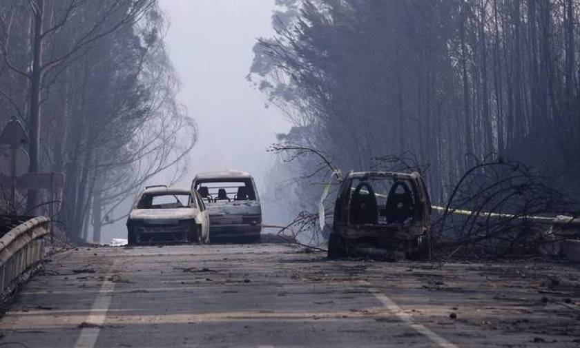 Portugal forest fires kill 62 near Coimbra