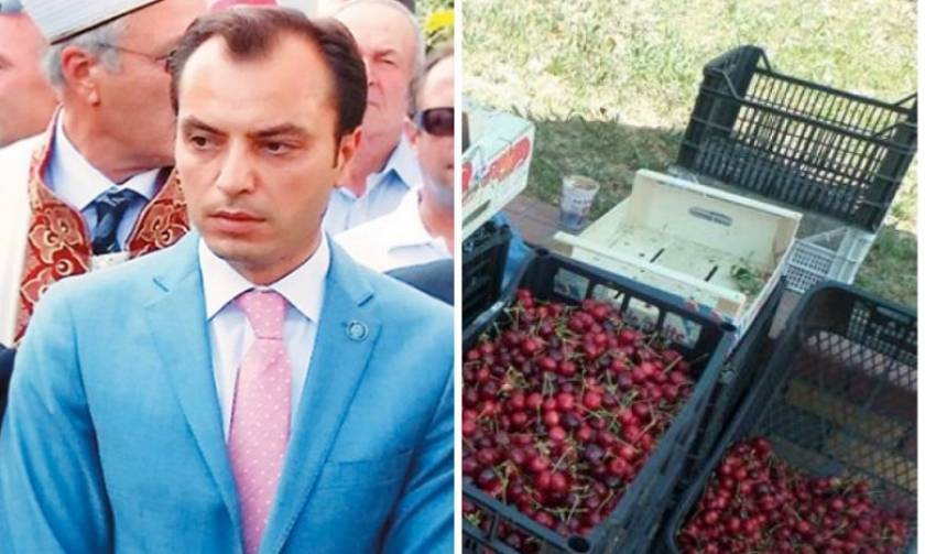 Εταιρείες τουρκικών συμφερόντων βάζουν στο χέρι την αγροτική παραγωγή της Ροδόπης