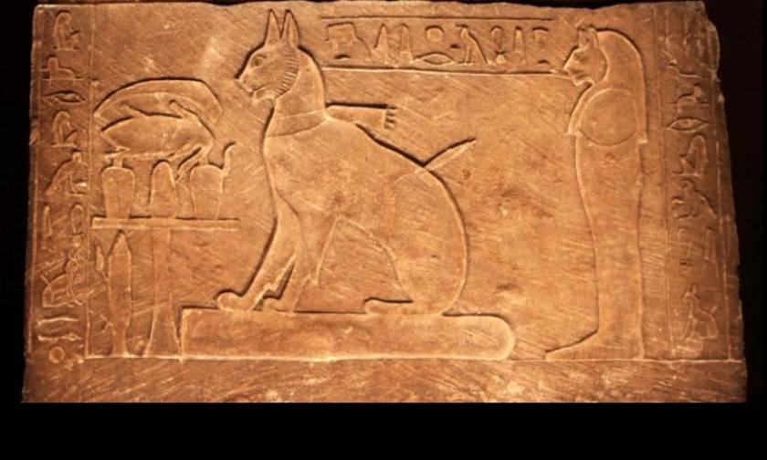 Έτσι οι γάτες κατέκτησαν τον κόσμο: Ξεκινώντας από τη Μέση Ανατολή πριν από περίπου 9.500 χρόνια!