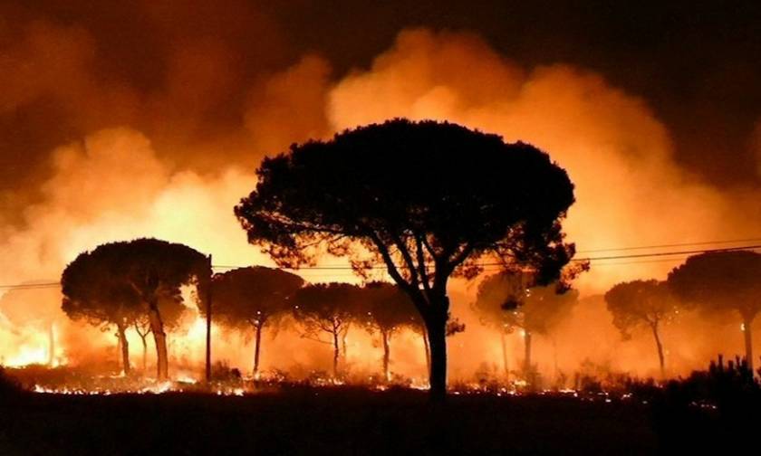 Τρόμος στην Ισπανία από τεράστια δασική πυρκαγιά – Εκατοντάδες εγκαταλείπουν σπίτια και ξενοδοχεία
