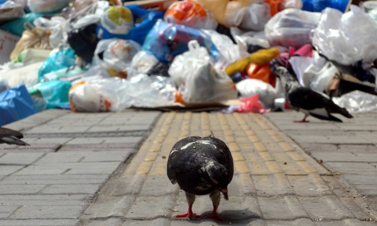 Θεσσαλονίκη: Με προσωπικό ασφαλείας η αποκομιδή των σκουπιδιών