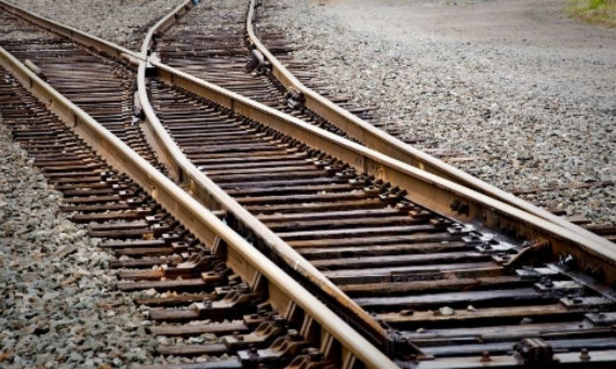 Αλίαρτος: Το τρένο διαμέλισε βοσκό και πρόβατα - Σε κατάσταση σοκ ο μηχανοδηγός που αναζητείται