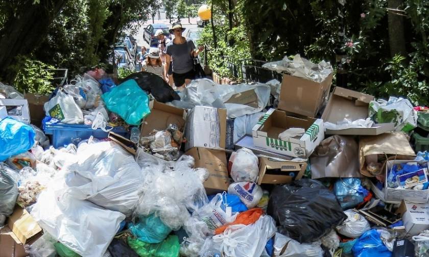 Καύσωνας και δυσωδία: Σκουπίδια, τρωκτικά και ζέστη απειλούν την υγεία μας