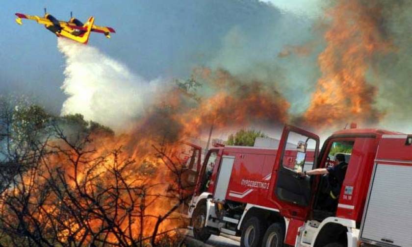 Φωτιά τώρα: Δείτε που υπάρχουν πυρκαγιές σε εξέλιξη αυτή τη στιγμή στην Ελλάδα