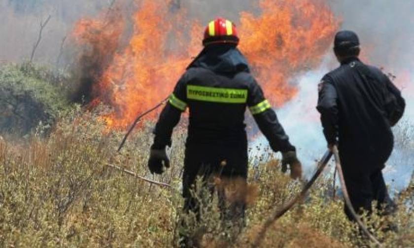 Φωτιά ΤΩΡΑ: Μεγάλη πυρκαγιά στην Κερατέα